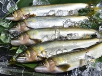 [Saturday, July 26th, 12:00] Grand Maison★Oaf 6