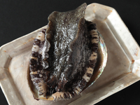 【特選コース】