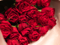 【プロポーズ オプション】赤バラ21本の花束