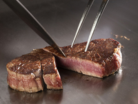 【WEB限定　昇龍】琥珀