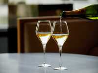 [Option] Toast with a glass of champagne