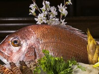 旬の味覚とうかい特選牛コース【￥18,700】3/6～※