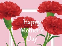 【ランチ&ディナー】 母の日プラン