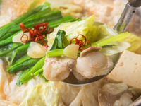 【秘伝】国産牛もつ鍋と炭火焼鳥、馬刺しなど全10品【2時間飲み放題付】5,000円(税込)