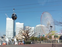 ◆平日ランチビュッフェ　エアキャビン搭乗引換券付き