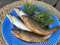 【テイクアウト】◉鮎と川海苔のパエリアセット[2名様用]  ¥14,200（税抜）