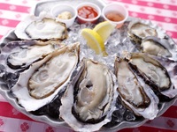 WEB予約限定◎生牡蠣盛り合わせ8ピース特別価格