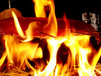 【6月-8月】鰹×鮪×生蛸の豪華藁焼き堪能！3種合盛り　四万十川コース（2時間飲み放題付き）