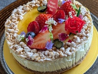 母の日限定 オクサリスフロマージュ15㎝