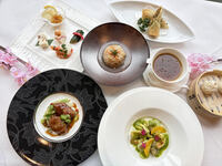 【平日限定】料理長おすすめSPECIALコース+乾杯ドリンク付き