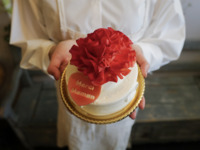 【母の日】カーネーション４号