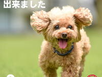 【ペット同伴屋外席】席のみ予約