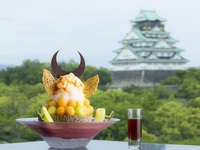 Shaved Ice - Whole Melon IEYASU -