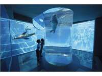 【ビュッフェ | 平日】マリンワールド入館券付き(幼児)