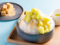 Shaved ice selection　メロン
