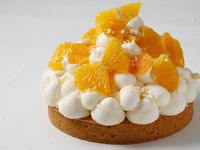 [Production (finishing) begins at 2 p.m.] Tarte Fromage Navel Orange (14 cm)