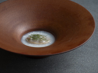 五感の庭コース