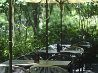 【SUMMER ランチコース】6月25日〜8月4日 夏の沖縄LUNCHコース 5000円 (LUNCH)