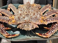 Live King Crab "Large" Course (1 crab for 2 people): Price may vary depending on availability.