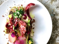 [Wednesday and Thursday only] Lunch course 4 dishes