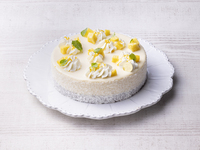 タルト ムースココ6寸(ホール)