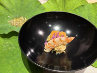 【数量＆2月限定】毛蟹と生雲丹の一品料理付きSAKEペアリングおまかせコース