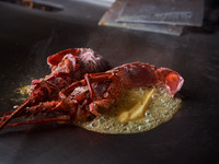 【おまかせランチ】