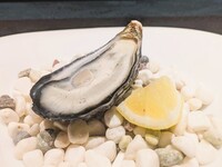 【add. option】 Japanese Raw Oyster