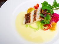 [7/1~8/31] Seasonal Dinner Course ~Saison~