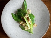 4/29〜Natura” 自然