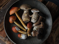 Alcohol pairing course (60ml)