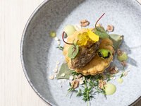 Seasonal Course