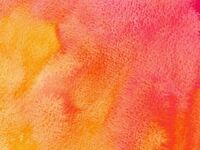 Winter chef’s course  2026