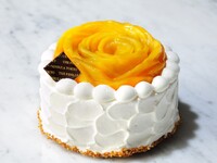 【テイクアウト】マンゴーショートケーキ ホール15cm 〈7/1-8/31〉