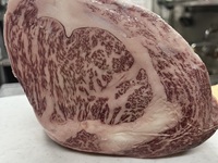 おまかせコース（飲み放題付）