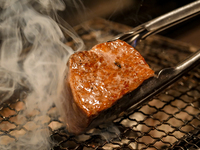 【黒毛和牛フィレ肉】至高の食べ尽くしコース