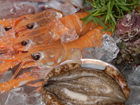 【通常価格】おまかせコース