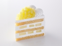 スーパーメロンショートケーキ