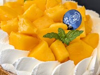 Miyazaki mango tart 15cm