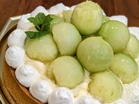 アンデスメロンタルト18センチ 