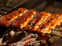 お土産　鰻　蒲焼