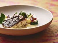 5course dinner where you can enjoy double main