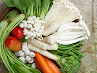 【Vegetarian Course】　Dinner course with a choice of main dishes, 4 dishes in total