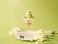 【テラス限定】夏の味覚！シャインマスカットパフェ　選べる1ドリンク