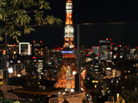 【Tower View Seat Guaranteed】 August 12th until October 4th Moonlight 5 course Dinner at The Garden Terrace with a glass of champagne 