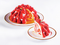 【テイクアウト】苺のズコットホールケーキ5号(15㎝)