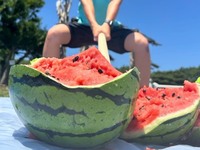 【夏季限定】三浦産スイカ割体験セット※事前予約制