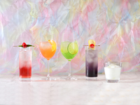 [20th Anniversary Drink Included] Terroir
