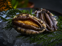 【WEB予約平日限定10食】旬の活アワビとステーキランチコース(期間限定)