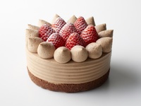 チョコレートストロベリーショートケーキ(ホール15cm)